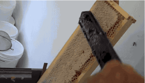 Honeycomb Satisfying GIF