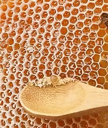 Honeycomb Scoop GIF