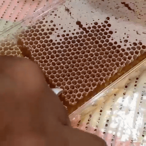 Honeycomb Slice GIF