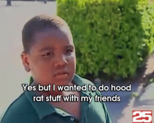 I Wanted To Do Hood Rat Stuff GIF