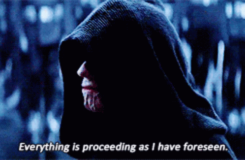 Hooded Man Saying Everything Is Proceeding As I Have Foreseen