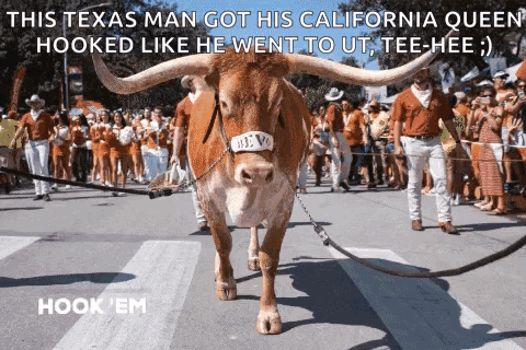 Hook Em Fans And Players Gameday GIF