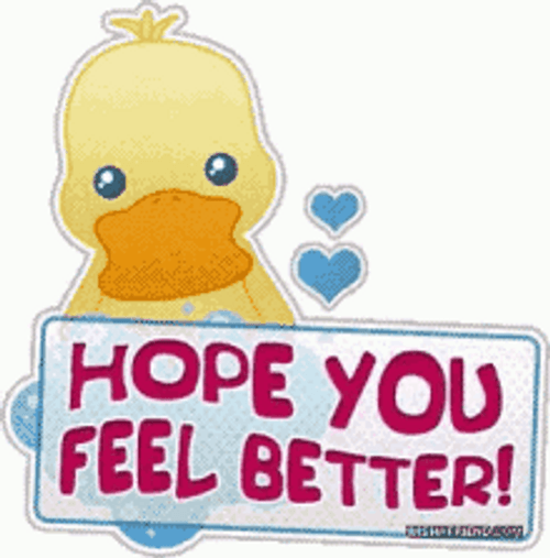 Hope You Feel Better Cute Duckling GIF