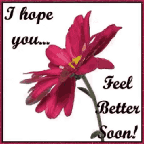 Hope You Feel Better Pink Daisy Greeting GIF