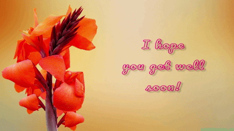Hope You Feel Better Soon Canna Lily GIF