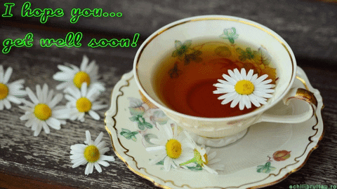 Hope You Feel Better Soon Chamomile Tea GIF