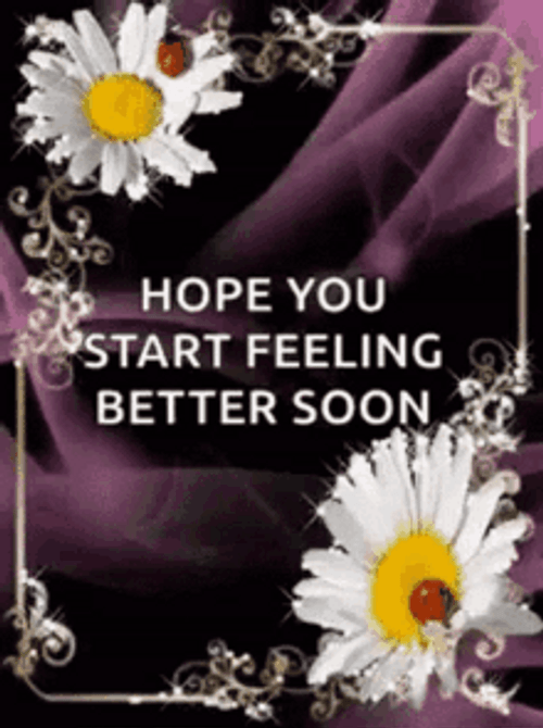 Hope You Feel Better Soon Flowers Daisy GIF