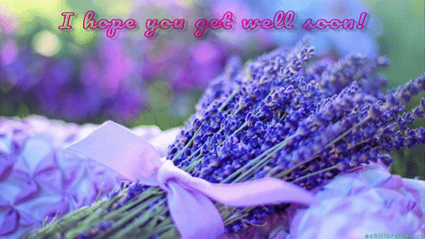 Hope You Feel Better Soon Lavender GIF