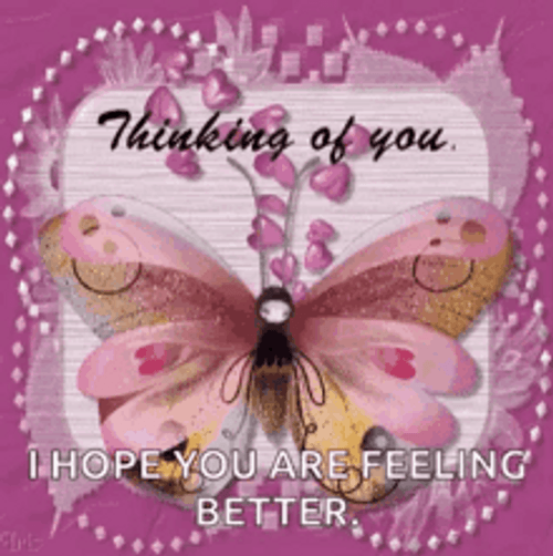Hope You Feel Better Thinking Of You Butterfly GIF