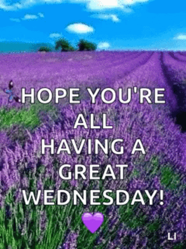 Hope You're Having A Beautiful Happy Wednesday GIF