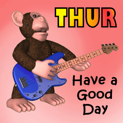 Hope You're Having A Good Day Monkey Playing Guitar GIF