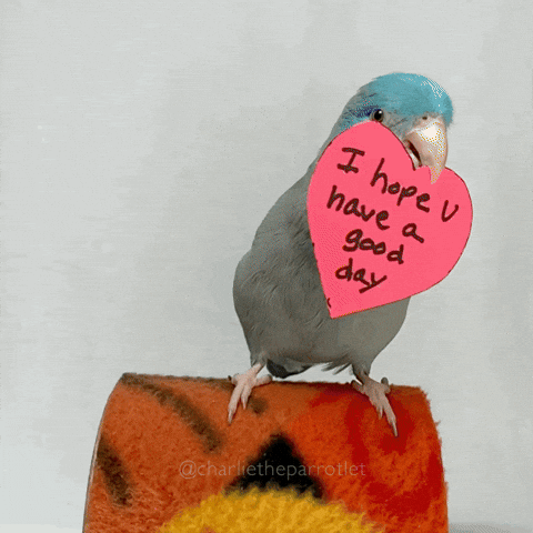 Hope You're Having A Good Day Parrot Bird Heart Notes GIF