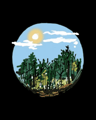 Hope You're Having A Good Day Pine Forest Sticker GIF