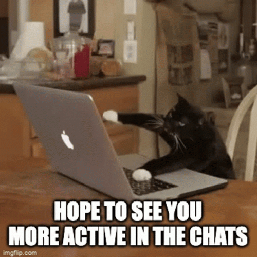 Funny Cat Chit Chat GIF 