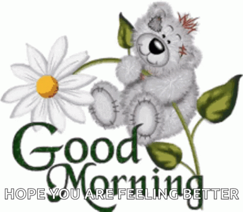 Hope Youre Feeling Better Bear Hugging A Flower GIF