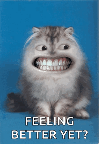 Hope Youre Feeling Better Cat Grinning GIF