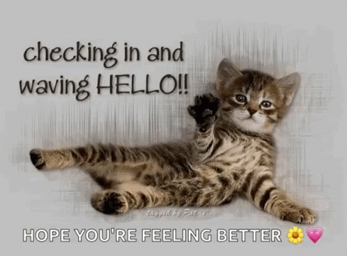 Hope Youre Feeling Better Cat Waving GIF