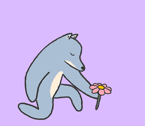 Hope Youre Feeling Better Wolf Giving Flower GIF