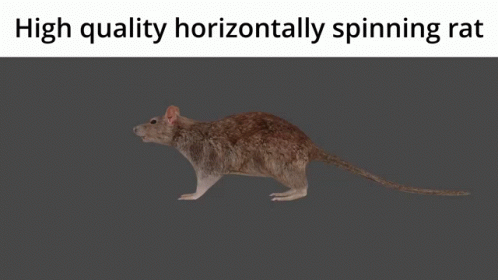 Horizontal Spinning 3d Rat GIF