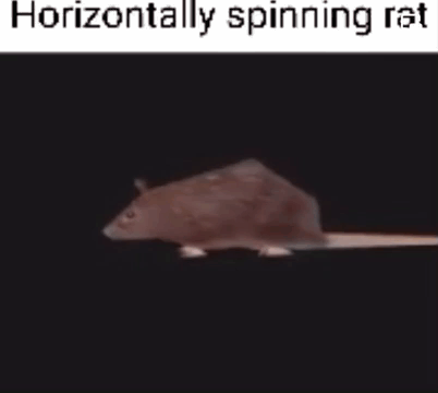 Horizontally Spinning Cartoon Rat GIF