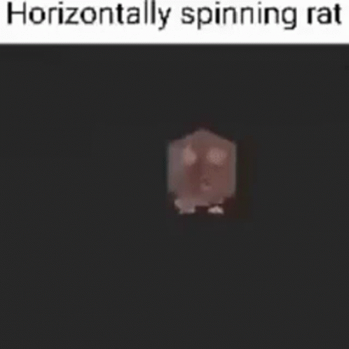 Horizontally Spinning Rat Meme GIF