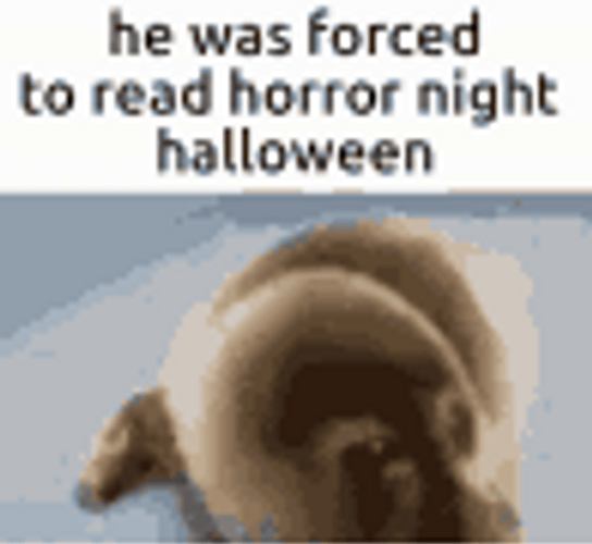 Horror Seal Meme GIF