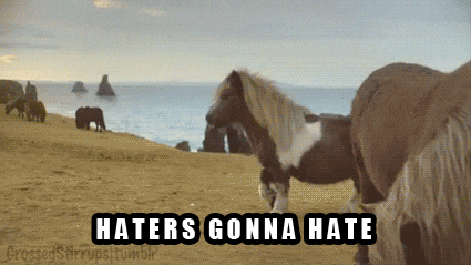 Horse Bouncing Walk Haters GIF