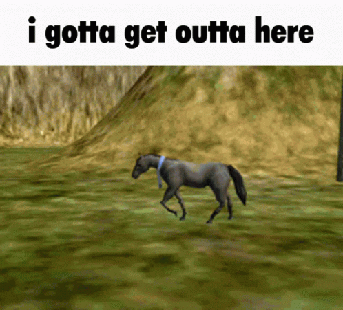 Horse Cannoned Just When I Thought I Was Out GIF