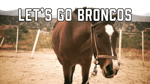 Horse Cheers Let's Go Broncos GIF