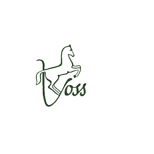 Horse Drawing Voss