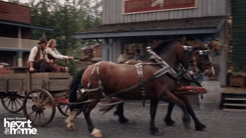Horse Drawn Carriage Heart and Home