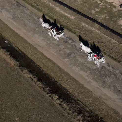 Horse Drawn Carriage on Dirt Road
