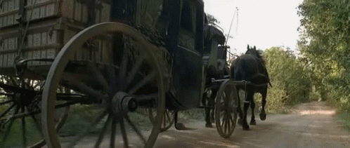 Horse Drawn Carriage on Dirt Road