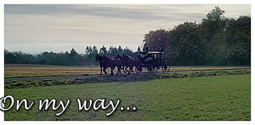 Horse Drawn Carriage On My Way