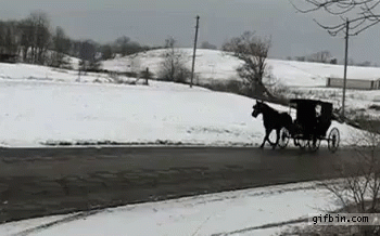 Horse Drawn Carriage on Snowy Road