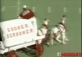 Horse Drawn Carriage Sooner Schooner