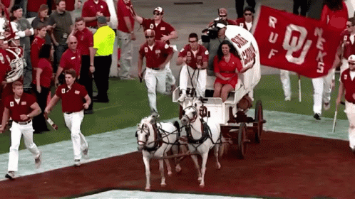 Horse Drawn Carriage With Texas Tech Banner GIF