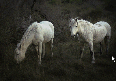 Horse Eating Mouse Pointer GIF