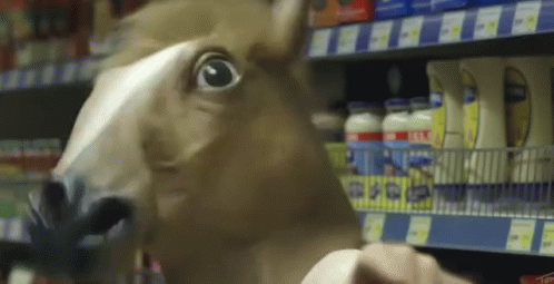 Horse Face Neigh Strongly GIF