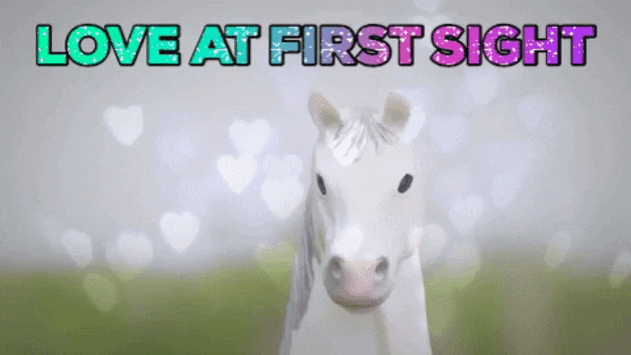 Horse Falling In Love Seeing First Time Meme GIF