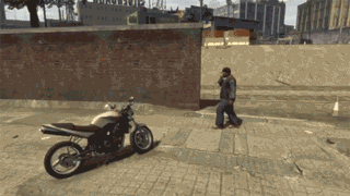 Horse Flies While Riding Motorcycle GIF
