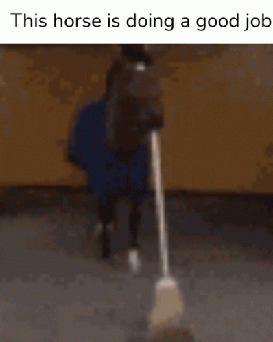 Horse Holding Mop Saying This Horse Is Doing a Good Job