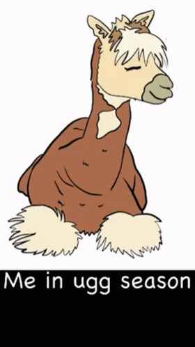 Horse Me In Ugg Season GIF