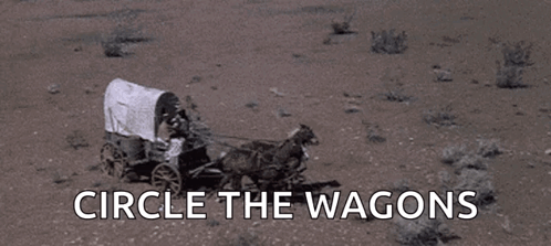 Horse Pulling Covered Wagon in Desert
