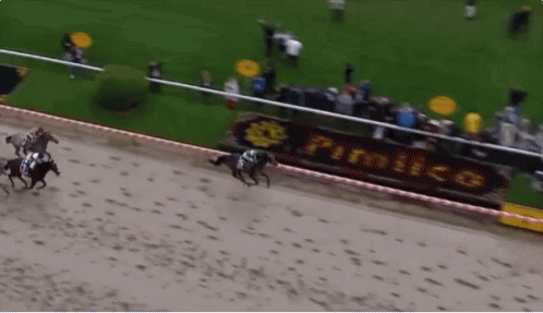 Horse Race With Pimico Sign
