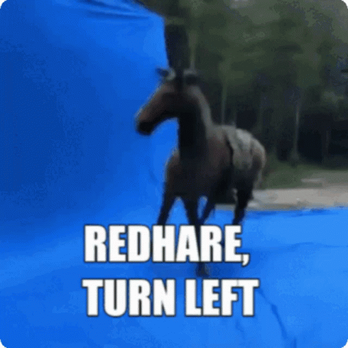 Horse Redhare Turn Left