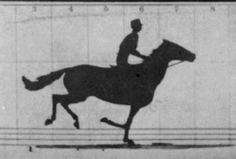 Horse Running Sallie Gardner At Gallop GIF