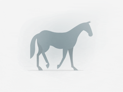 Horse Running Selaria Vertentes GIF