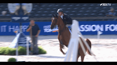 Horse Running Celebrate Slow Motion GIF