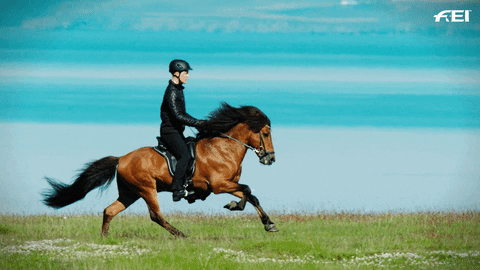 Horse Running See Ya Love GIF